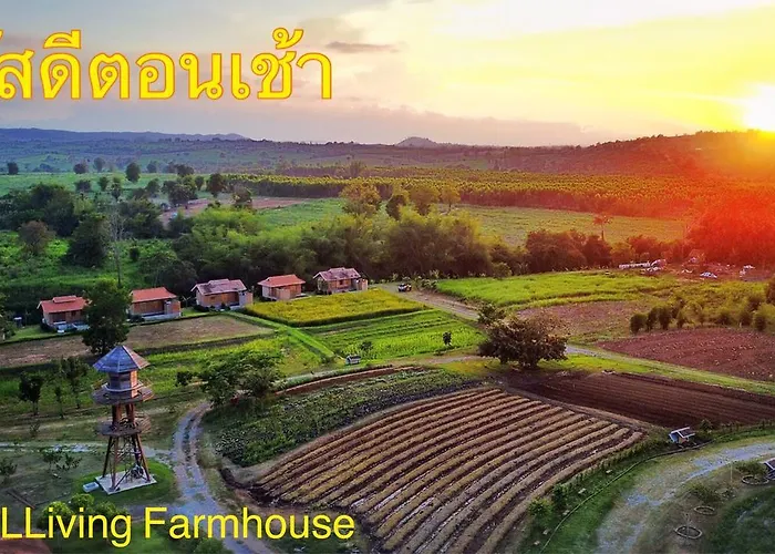 Coolliving Farmhouse Organic