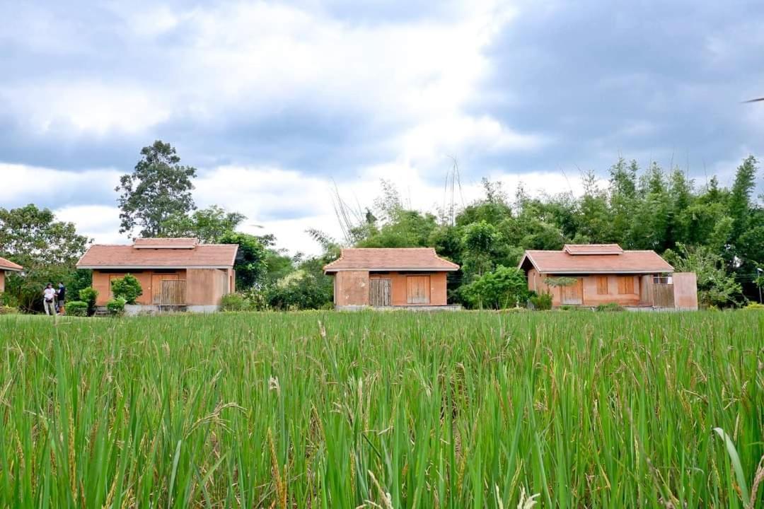 Coolliving Organic * Wang Nam Khiao