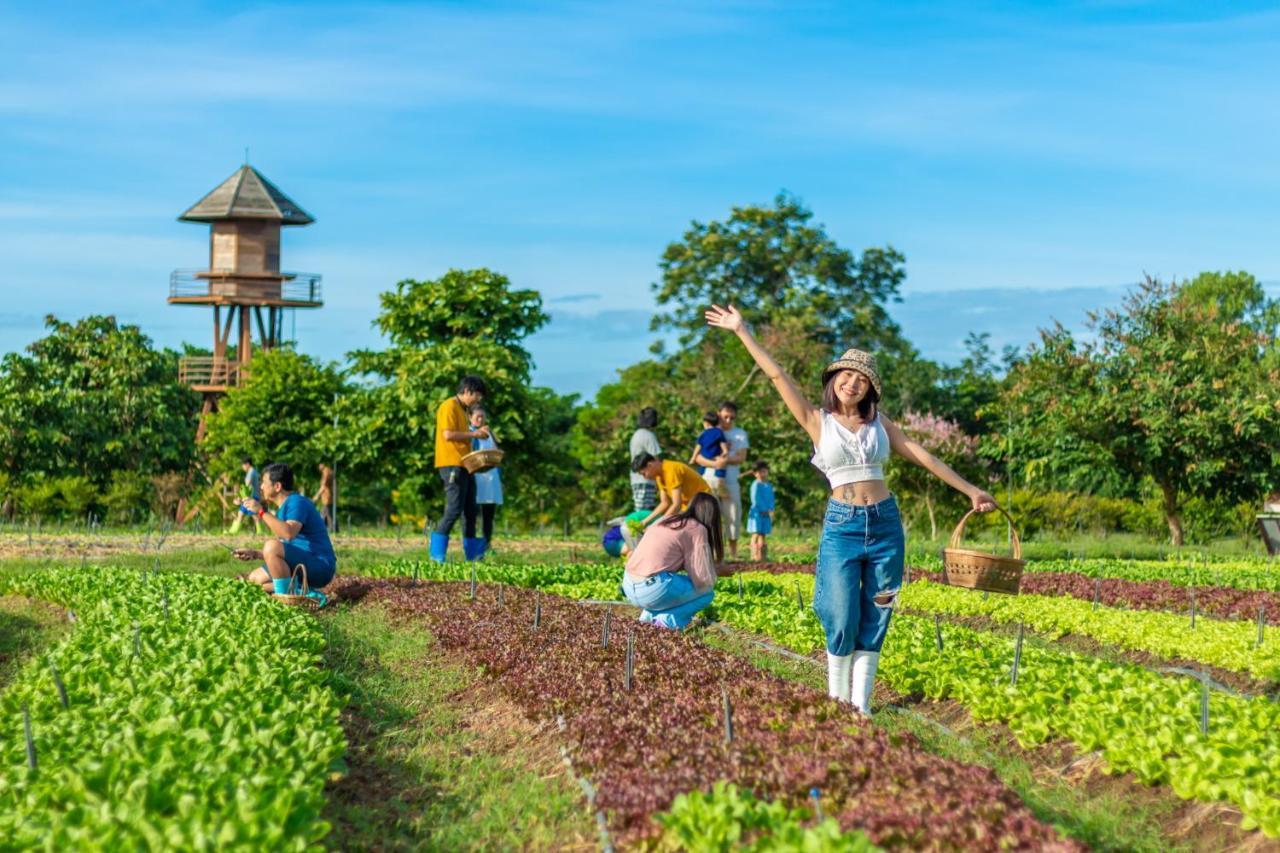Coolliving Organic Farm stay *