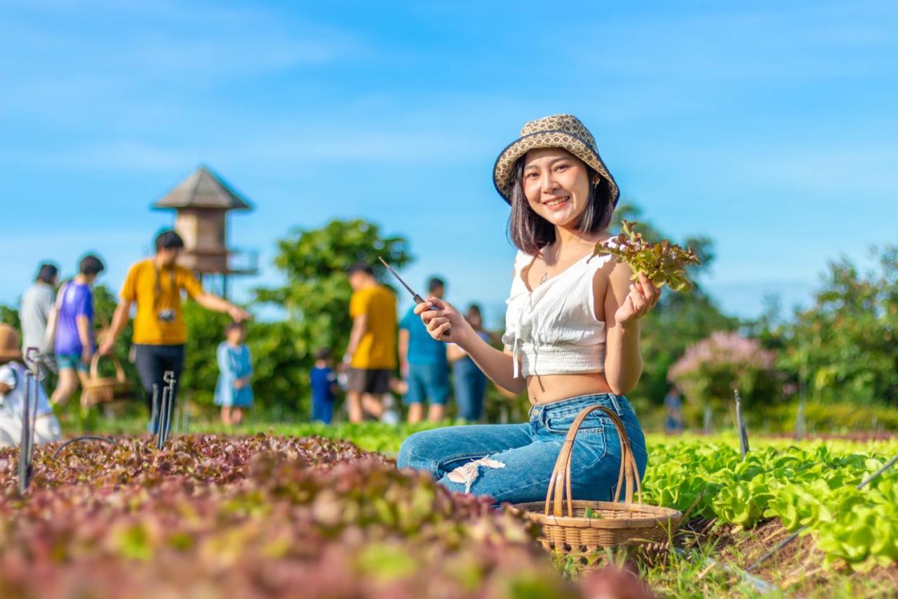 Coolliving Organic Farm stay *