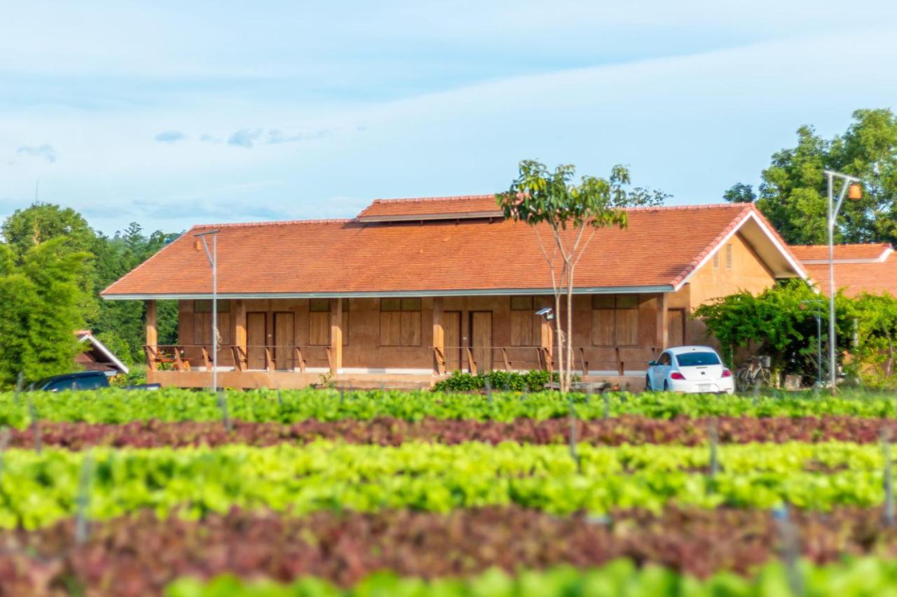 Farm stay Coolliving Organic