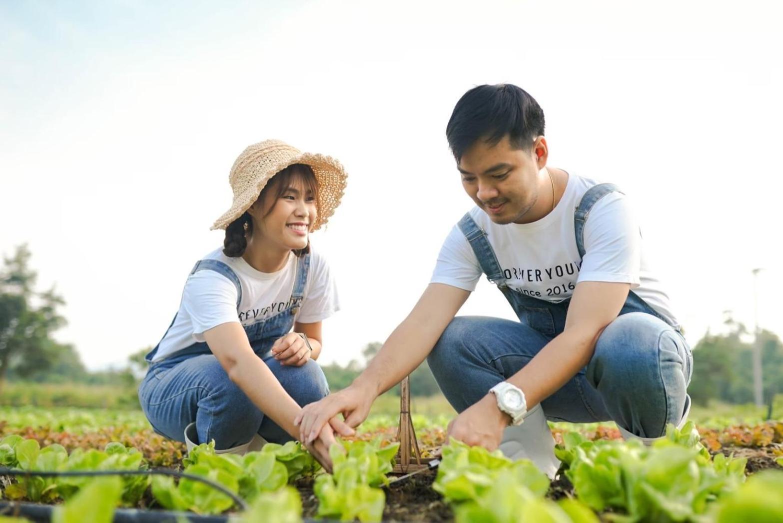 Coolliving Organic Farm stay Wang Nam Khiao