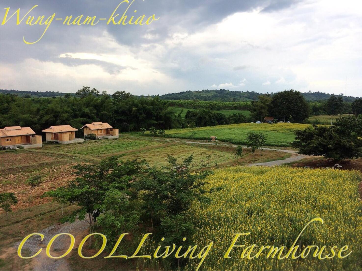 Coolliving Organic *