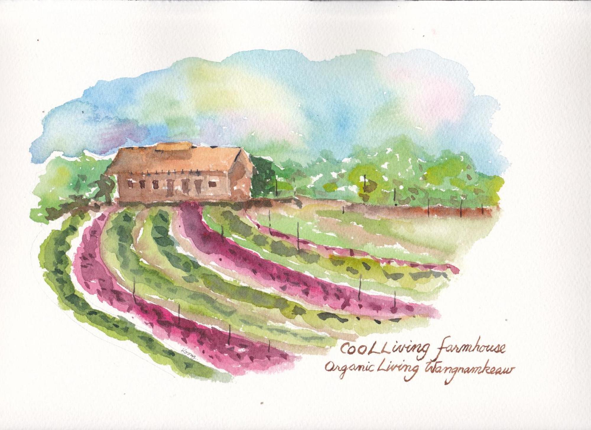 Coolliving Organic Farm stay *
