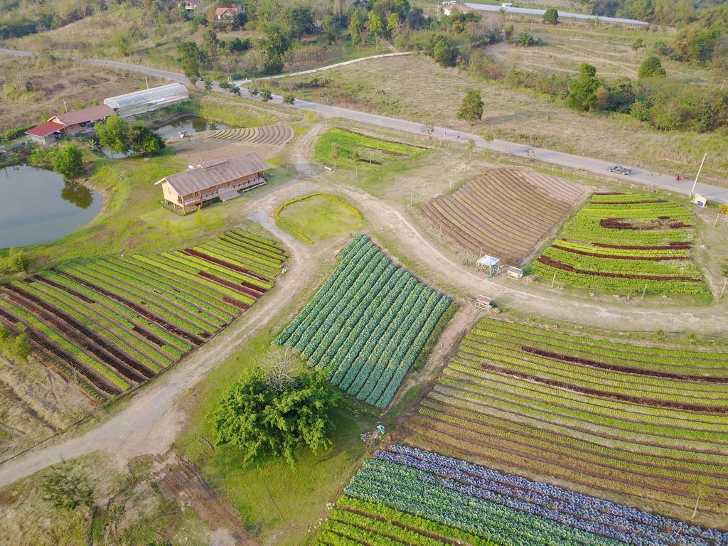 Coolliving Organic *