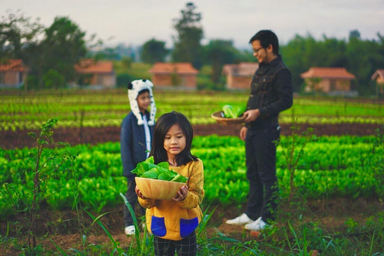 Coolliving Organic Farm stay *