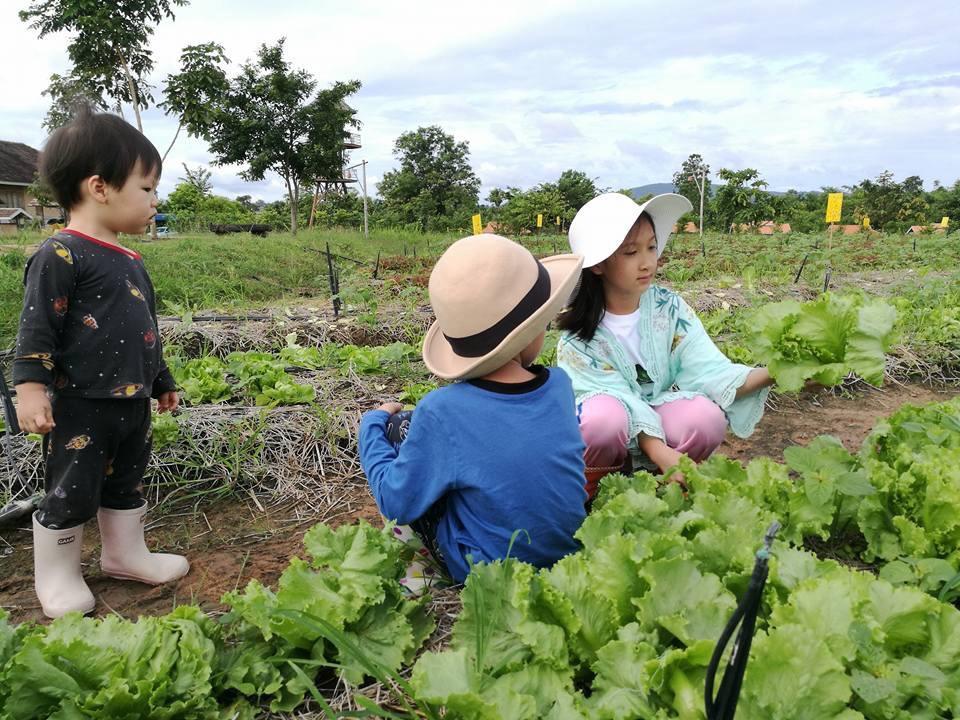 Farm stay Coolliving Organic