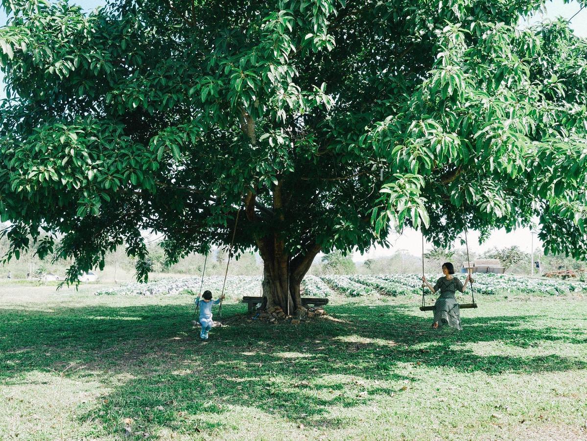 Coolliving Organic Farm stay Wang Nam Khiao