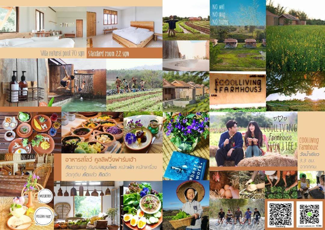 Coolliving Organic Farm stay *