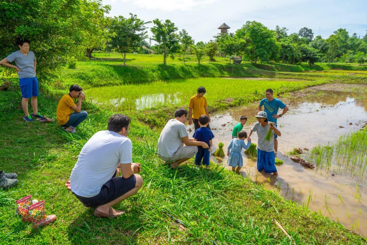 Coolliving Organic Farm stay Wang Nam Khiao