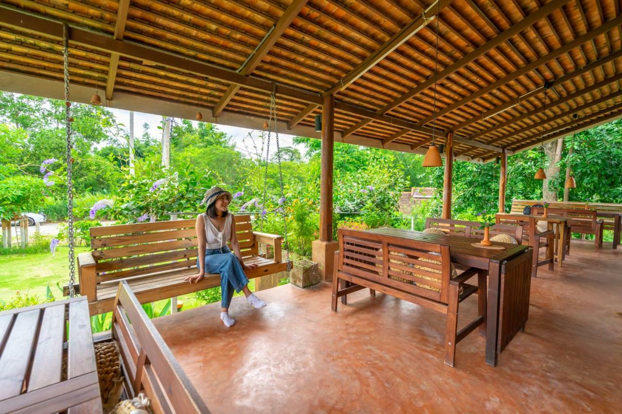 Coolliving Organic Farm stay