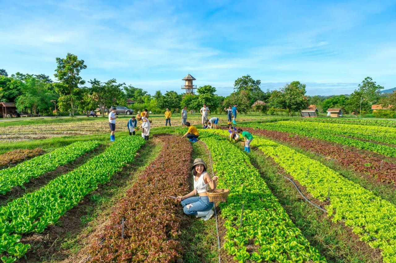 Farm stay Coolliving Organic *