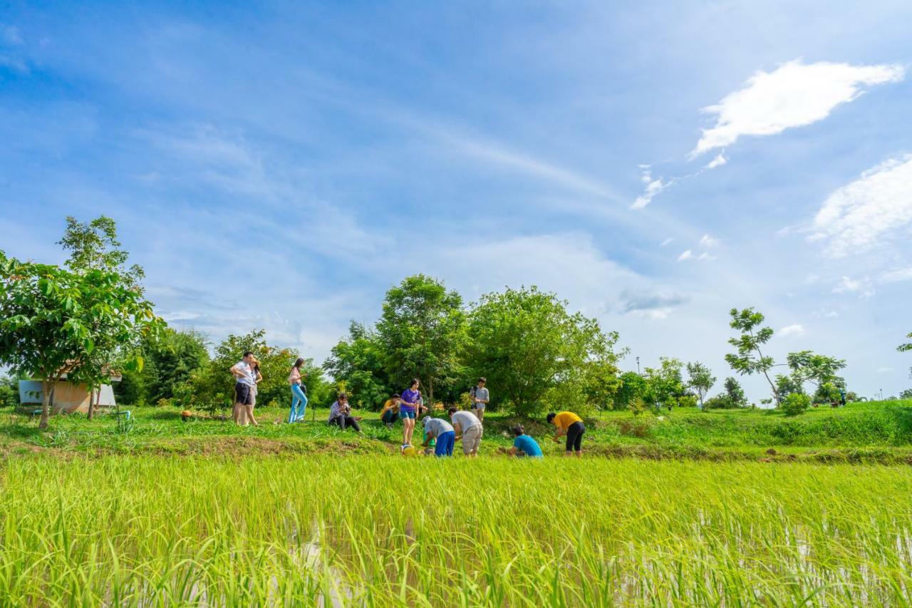 Coolliving Organic Farm stay Wang Nam Khiao